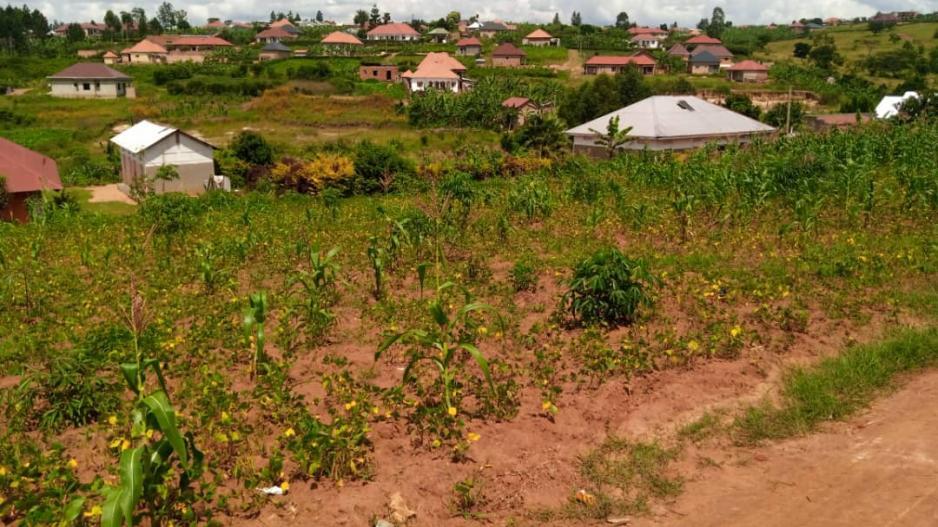 25_decimal rutagarama