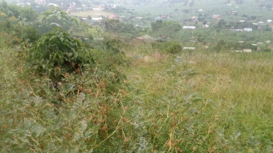 biharwe_katojo_opp_market