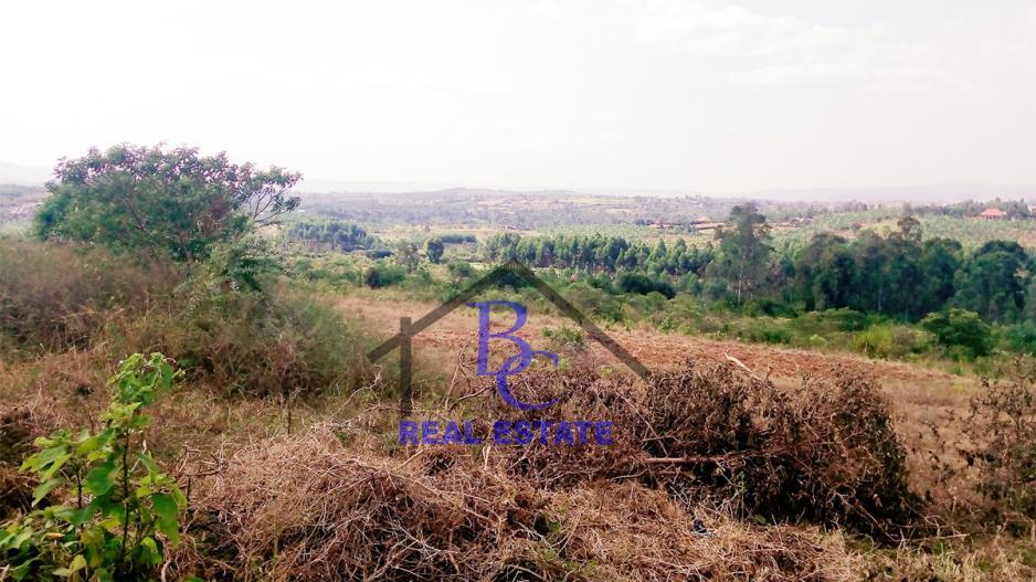 kaberebere_kiddawalime_plots