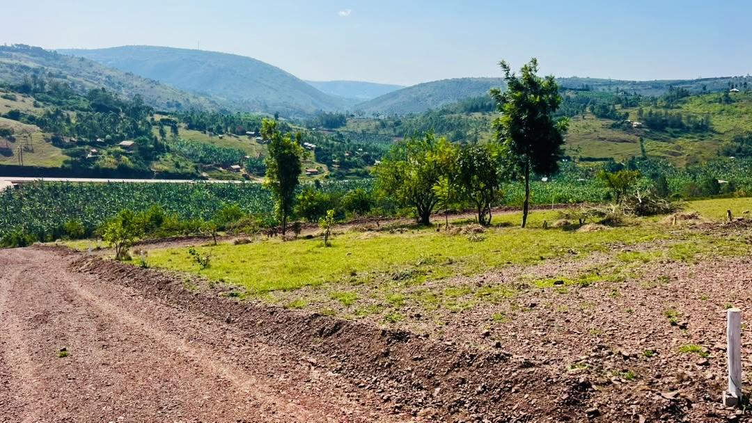 beyichini kabingo estate